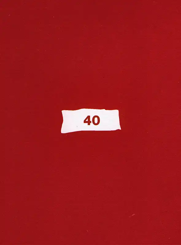 Cover of the book 40 by Andrea Varani